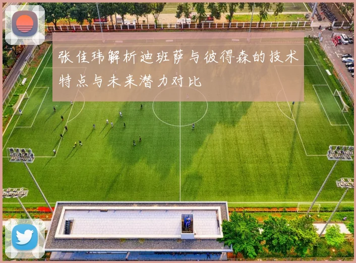 张佳玮解析迪班萨与彼得森的技术特点与未来潜力对比